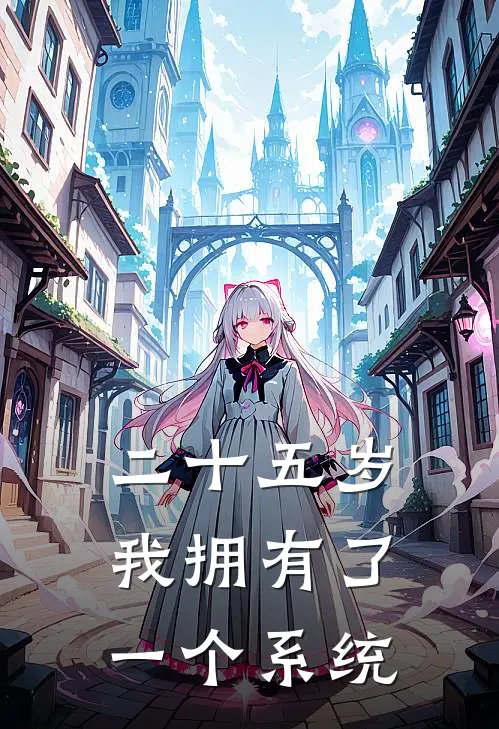 二十五岁，我拥有了一个系统