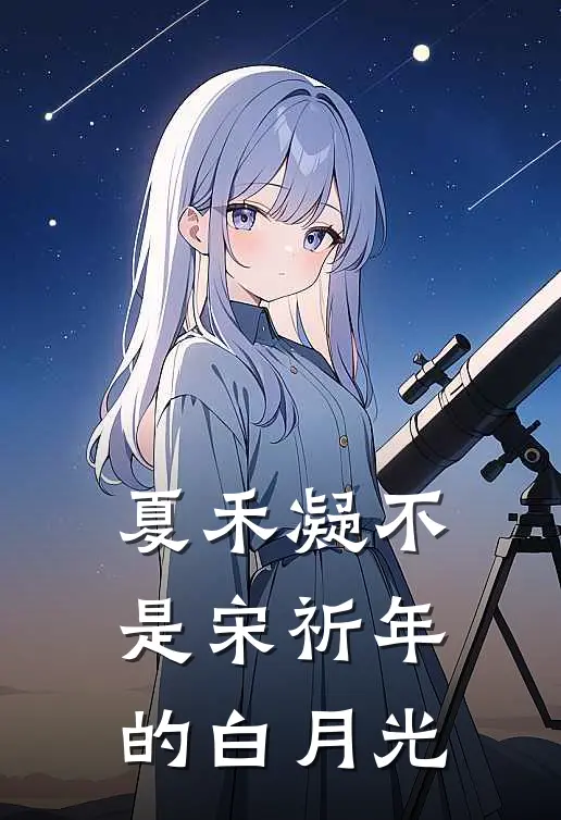 夏禾凝不是宋祈年的白月光
